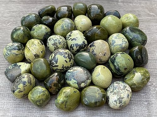 Image of GAF TREASURES 1 /2 LB Serpentine Tumbled Stones, Polished Serpentine Gemstone, Serpentine Healing Crystals (Serpentine)