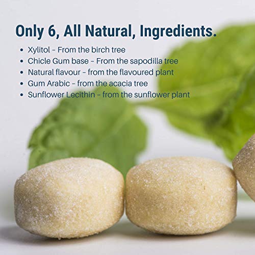 The Humble Co. Natural Chewing Gum (6pack) – Keto, Vegan, Sugar Free, Aspartame Free, Non GMO, 100% Xylitol for kids and adults (Tropical Fruits) - Thumbnail 2