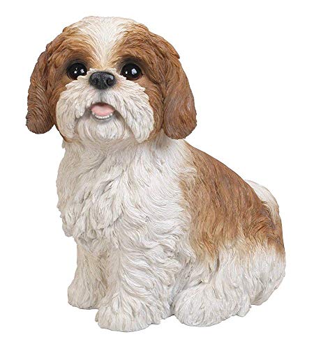 Vivid Arts XRL-SZ12-B Shih Tzu Hund, braun-weiß, sitzend, Kunstharz Gartendeko