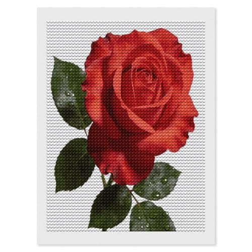 Pintura de puntos de diamante de rosa para principiantes y adultos con brillo radiante