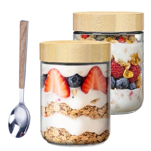 GANILITY Pots pour Overnight Oats, 2 Pieces Bocaux de Conservation en Verre, 500 ml Bocaux de Conservation en Verre avec Cuillère en Acier Inoxydable, pour les Grains de Café, L'avoine