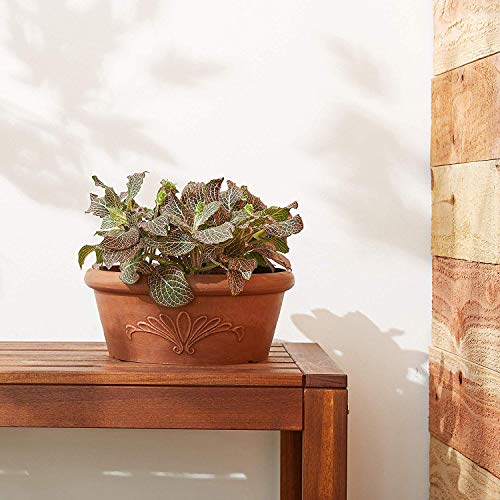 Arcadia Garden Products TA25TC Bulb Pan 10 x 3.5 Terra Cotta Color, 10"x3.5" - Image 4