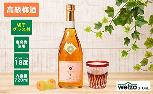 うまかぞー九州 梅乙姫 UMEOTOHI 585R