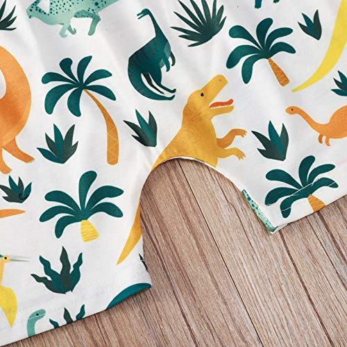 Toddler Baby Boy Summer Clothes Sleeveless Letter Print Vest Top Palm Dinosaur Shorts 2Pcs Casual Outfit (Grey,2-3T) #TOP6