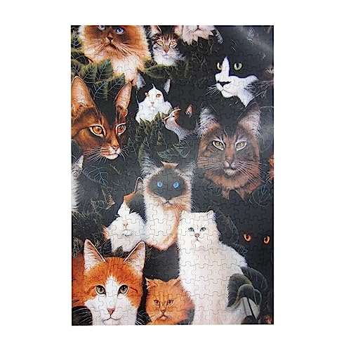 WO\[pY k L  300s[X ؐpY ]`W DiỷƂ̑ ʃv[g yV sN`ApY 蕨 a LO j NX}X 300pcs