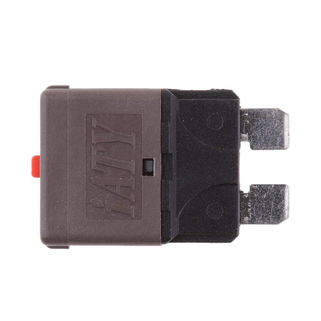 Lot de 21 Mini fusibles manuels pour Voiture