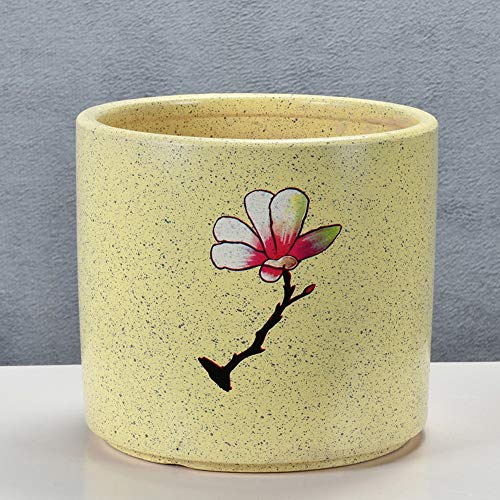 Pots de plante en céramique durable pour sublimer vos succulentes