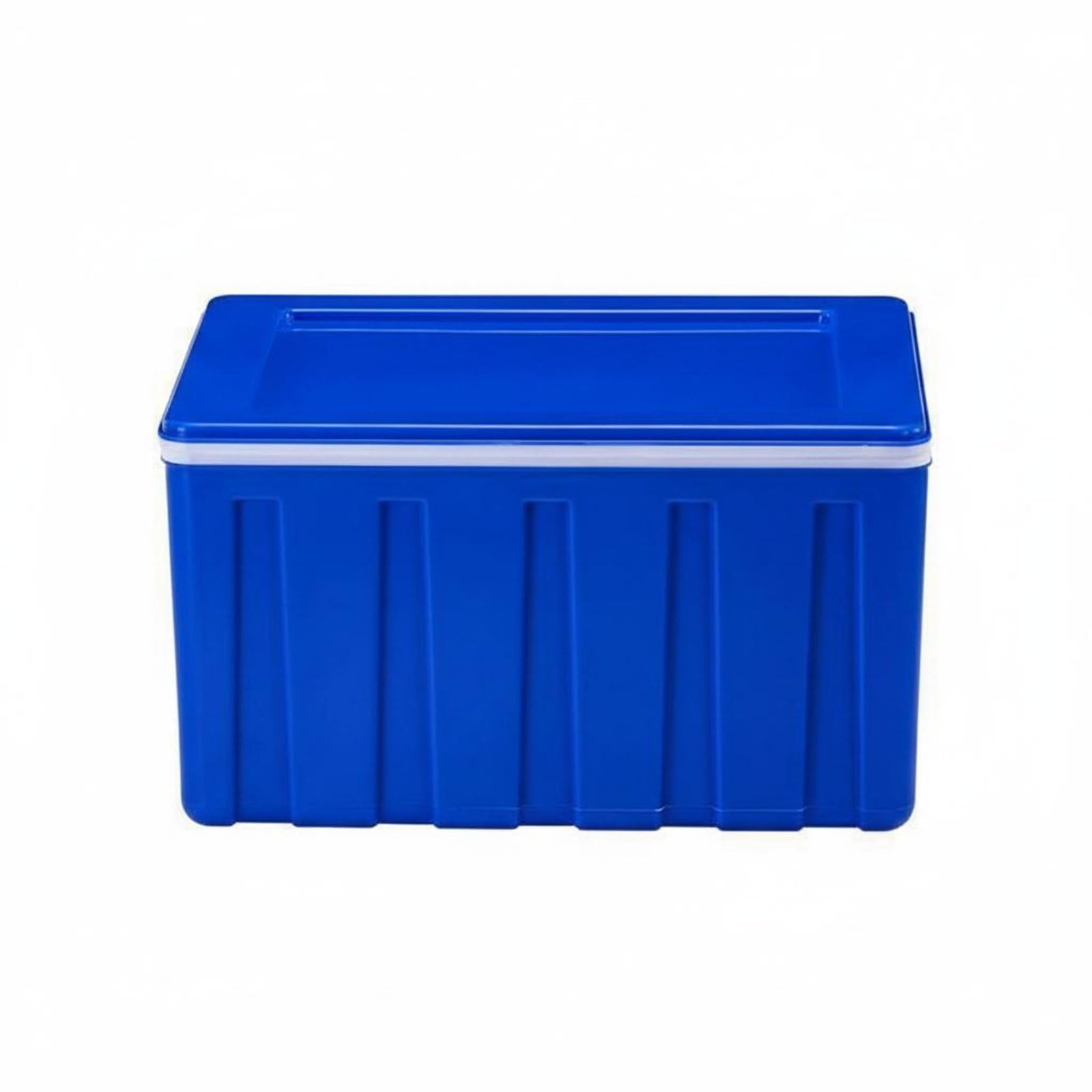 Contenitore Termico Isolato per Trasporto Alimenti Contenitore Grande Resistente Agli Odori Ottimale per Stallaggio, Blu, Modello Classico Con Coperchio Separato