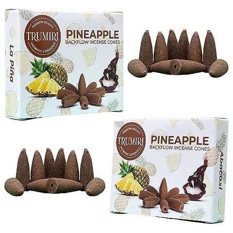 TRUMIRI Pineapple Backflow Incense Cones Cover