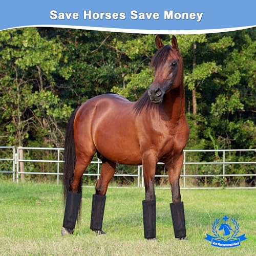 Image of Mesh Horse Fly Boots Set of 4, Fly Boots for Horses, Leggings for Horses, Reduce-Stomping, Breathable Mesh, Loose Fitting, Stay Up Not Sag, No Rub (Black)