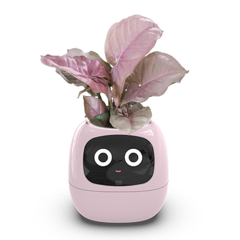 Pyatofy Maceta Inteligente Ivy, Maceta Pequeña Recargable por USB para Decoración de Interiores, Hace Que Cultivar Plantas Sea Fácil y Divertido, Color Rosa