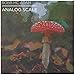Analog Scale