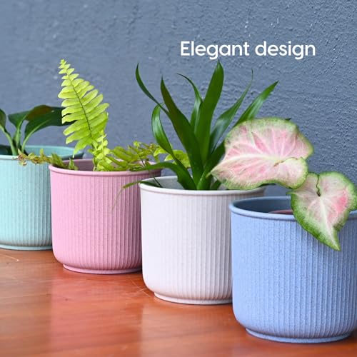 Image of Eha Earth Friendly Statement Pot 4 Inch Pots and Planters Set of 1 | Table Top Planters| Bamboo Based, UV Protected | Planter for Indoor & Balcony Window Flower Pots | Innocent