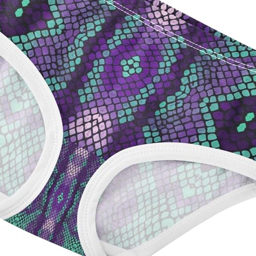 Purple Turquoise Snake Skin Toddler Girls's Underwear 2T 202c14154