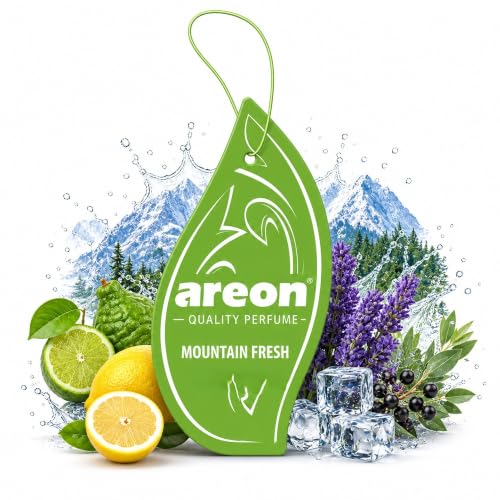 AREON MON MA17 Long Lasting Hanging Best Car Air Freshener Mountain Fresh Scent, 12 pack