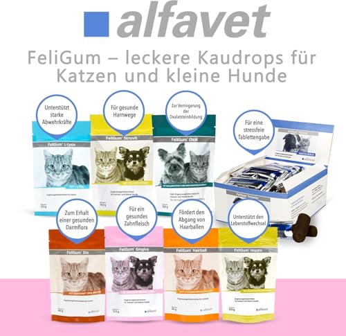 alfavet FeliGum Gingiva, unterstützt bei Zahnfleisch und Maulhöhlen Entzündung von Katze und Hund, Kaudrops, Ergänzungsfuttermittel, 120g