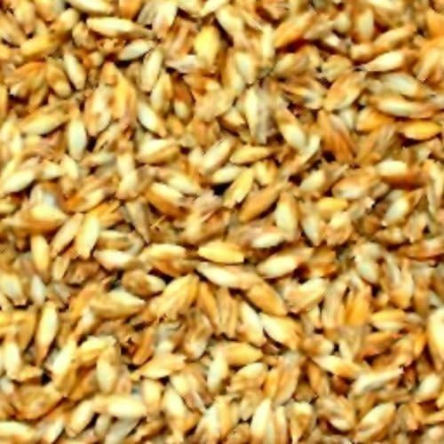 iffland MERINO EUROPA 20 Organic Spelt from Kba Original Heimtextilmanufaktur