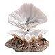 Zerodis Aquarium Shell Ornament, Harz Aquarium Shell Pearl Bubbler Korallenriff Belüftungsaktion Landschaft Künstliche Aquarium Dekoration