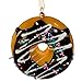 Kurt Adler Donut Ornament (Set of 12), 2.75-Inch