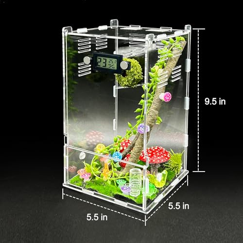 Image of Jumping Spider Enclosure,DIY Insects Habitat,Small Reptile Terrarium Glass House Accessories Set,with Temperature and Humidity Detector Water Feeder Platform Hide,5.5 inchx5.5 inchx9.5 inch (Luminous Mushrooms)