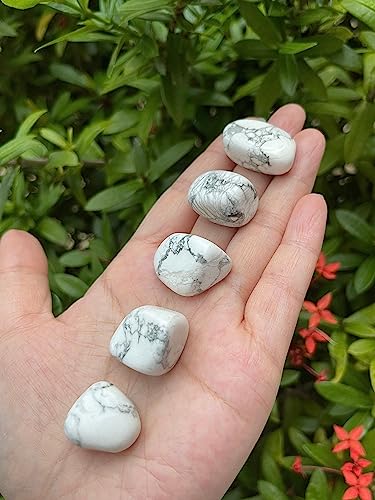 Image of GAF TREASURES 1 /2 LB White Howlite Tumbled Stones, Polished Natural White Howlite Gemstone, White Howlite Healing Crystals (White Howlite)