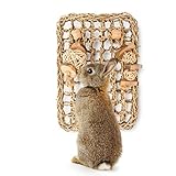 andwe Seagrass Protector Mat with Toys for Rabbit Bunny Chinchilla Guinea Pigs or Other Rodent Pets (11 X 7.87-inch)