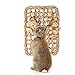 andwe Seagrass Protector Mat with Toys for Rabbit Bunny Chinchilla Guinea Pigs or Other Rodent Pets (11 X 7.87-inch)