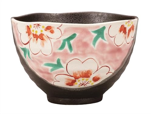 �i�J�}���w��J�āx���Иq��Ԗ�(�s���N) K9-501