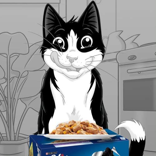 Felix Katzennassfutter Gelee Gemischte Vielfalt 44 x 100 g Multipack Premium Portionsbeutel