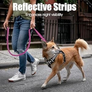 Bumbin 6ft Dog Leash Large Dogs Bungee Dog Leash with 2 Handles Heavy Duty Dog Leashes for Medium Small Dogs No Pull Shock Absorbing Dog Leash with Car Seat Belt for Training Pink  Cucciolini Doodles Bumbin 6ft dog leash large dogs bungee dog leash with 2 handles heavy duty dog leashes for medium small dogs no pull shock absorbing dog leash with car seat belt for training pink   cucciolini doodles