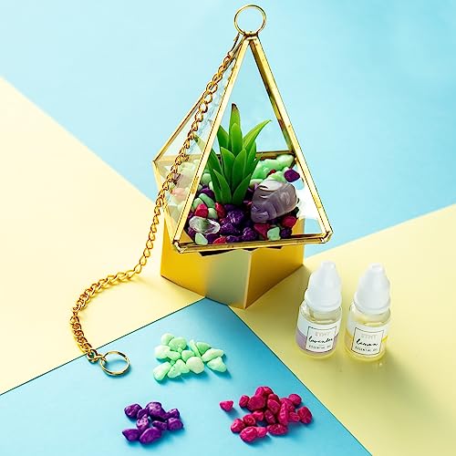 DIY Crystal Terrarium, Terrarium Kit, DIY Terrarium Kit, Kids Terrarium Kit