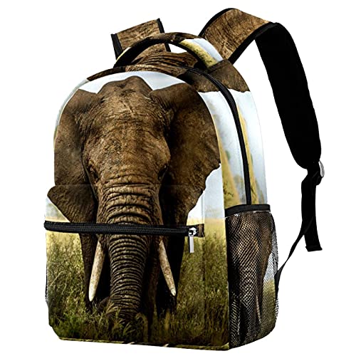 Grand sac à dos de voyage enfant mixte gris éléphant avec porte-bouteille intégré