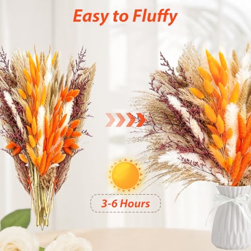 Bouquet pampa séchée x100 pour décoration boho et mariage rustique