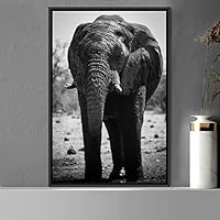 Framed Canvas Wall Art Duotone Elephants Animals Black and White Bohemian Duotone Elephants Expressive Grey Living Room Photography - 16x24 inches
