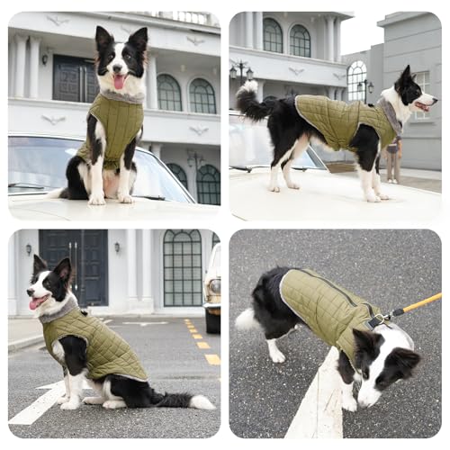JoyDaog Warmer Fleece-Hundemantel mit strapazierfähigem Geschirr mit D-Ring, wasserdichte Welpenjacke für kleine Hunde, Hundeweste für den kalten Winter, Grün, Größe S