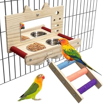 bird perch with stainless steel bowls