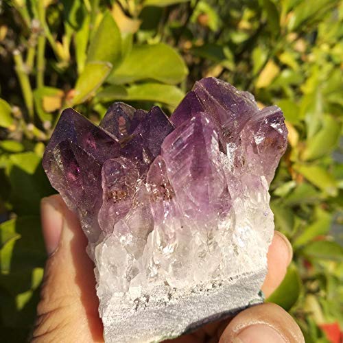 Espécimen de racimo de Amatista de Cuarzo de Cristal de geoda de Amatista Natural de Uruguay Inicio Colecciones
