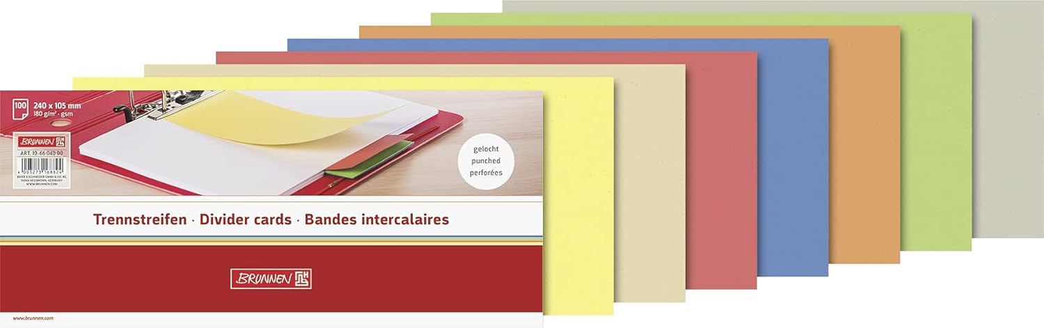 Brunnen 106604000 Divider Strips (10.5 x 24 cm Landscape, Made of Cardboard, Perforated, 100 Divider Strips) White