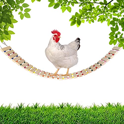 Nynel Hühnerschaukeln, Hühnerstall, Spielzeug, Naturholz, Hühnerleiter, Hühnerspielzeug, Sitzstange für Vögel, Geflügel…