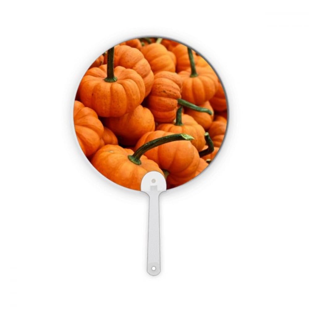 Photographie citrouille fraîche éventail rond plastique objet artisanat nature automne