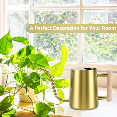 Image of Watering Can Indoor Plants, 35oz Small Stainless Steel Metal Watering Can Modern Decorative Watering Pot with Long Spout for Indoor House Plant Bonsai Garden Flowers (Gold)
