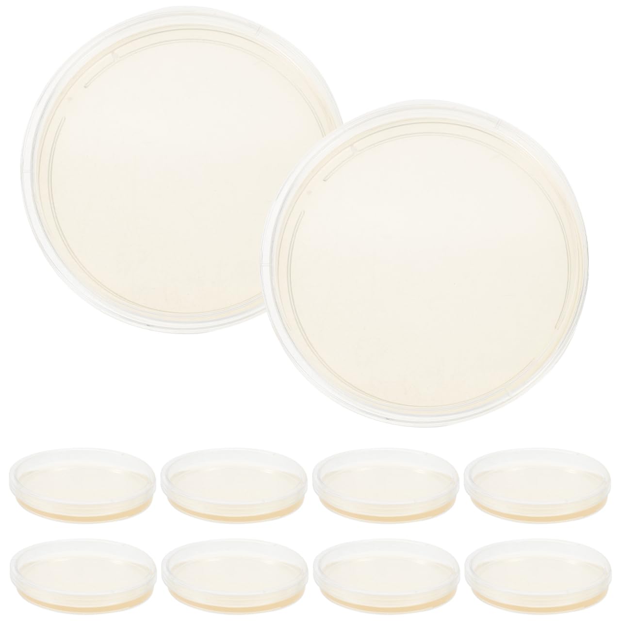GLEAVI Piastre Petri Agar Lb 9Cm 10 Pezzi Terreno Di Coltura Microbiologica Pronto All'Uso Per Laboratorio Progetti Scolastici E Analisi Scientifiche