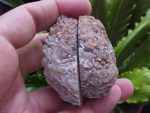 B7205 Gemqz Agate Hollow Geode Pair !!!
