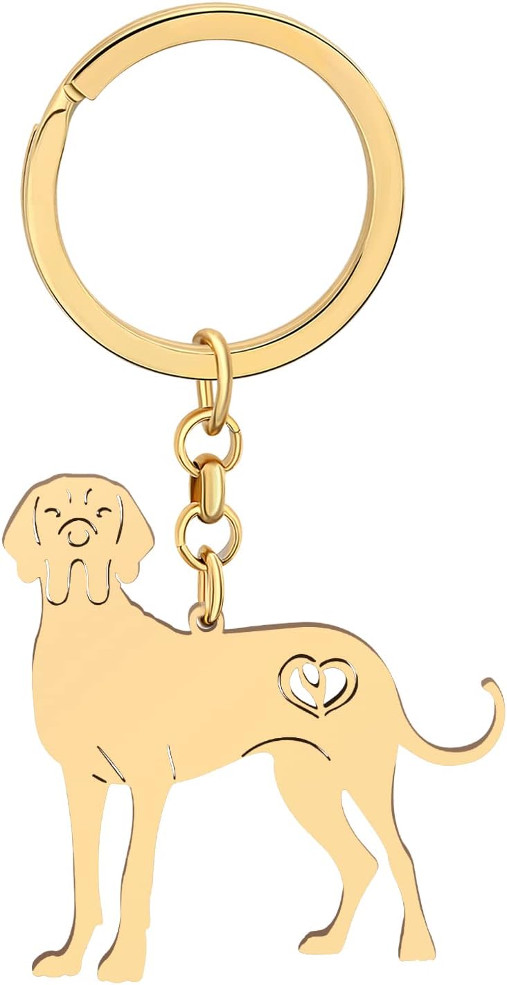 DOWAY Cute Stainless Steel Dog Mom Gifts Dog Keychain Ring 18K Gold Pet Accessories For Women Girls Dog Lovers Car Key Charms (Great Dane Gold Plated)
