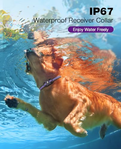 Image of Bousnic Dog Shock Collar - 3300Ft Training Collar with Remote for 5-120lbs Small Medium Large Dogs Rechargeable Waterproof e Collar with Beep (1-8), Shake(1-16), Safe Shock(1-99) Modes (Lightpurple)