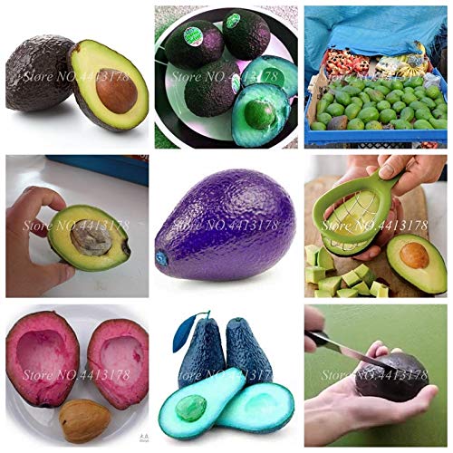 Seeds 10 pcs/bag Rare Avocado Mini Juicy Delicious Pear Bonsai Agramsero Fruit Planta Garden Ornamental Plants SeedFor Flower Pot Planters: Mixed: Only Seeds