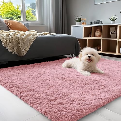 OLANLY 3x5 Machine Washable Small Bedside Rug, Soft Fluffy Shaggy Rugs for Living Room, Bedroom, Indoor Floor Carpet for Kids Girls and Boys, Preppy Dorms, Nursery, Home Decor Aesthetic, Pale Pink