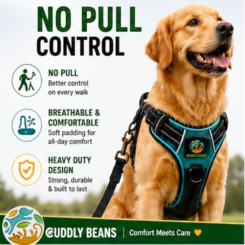 Image of Adjustable Padded Dog Harness with Leash | Comfortable Walking Harness for Dogs | Orange | Size S | Suitable for Dogs 11-15 kg