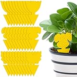 CNMTCCO Gelbsticker Trauermücken Bekämpfen, 30 Stück Gelbtafeln Fruchtfliegenfalle Wasserdicht Gelb klebefalle Insektenfalle zur die Zimmerpflanzen Schädlingsbekämpfung