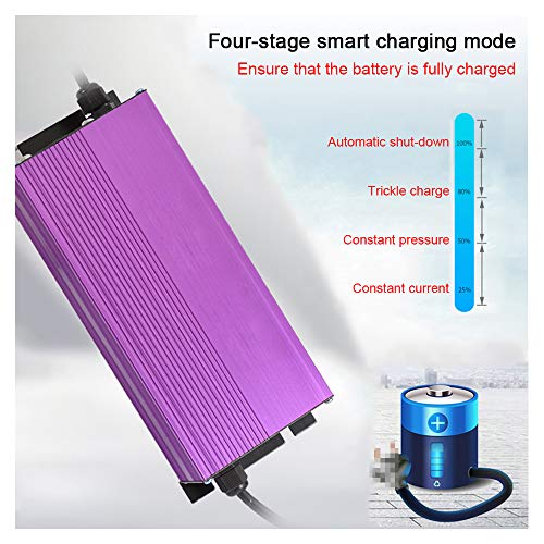 SUIBIAN Scooter Elettrico Caricabatterie, 58.8V 8A...